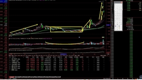 一肖平碼王中王，揭秘彩票背后的秘密與策略，揭秘彩票背后的秘密與策略，一肖平碼王中王解析