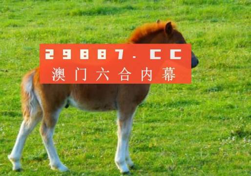 新澳門一肖一碼中恃，揭秘彩票背后的秘密與策略，揭秘新澳門彩票背后的秘密與策略，一肖一碼中的玄機(jī)