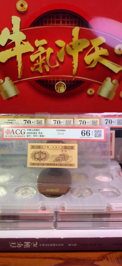 王中王4877一肖中特，揭秘彩票背后的秘密與策略，揭秘彩票背后的秘密與策略，王中王4877一肖中特解析
