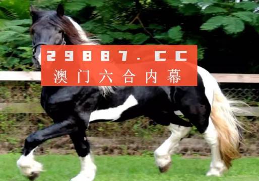 一肖一馬王中王一馬中特，深度解析與SEO優(yōu)化策略，一肖一馬王中王深度解析與SEO優(yōu)化策略探討