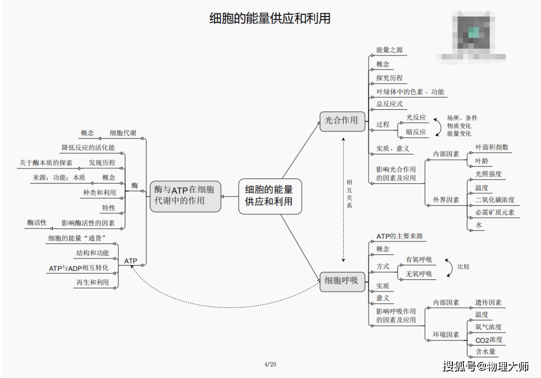 三期必開一肖王中王，揭秘生肖運勢與預測之謎，揭秘生肖運勢，三期必開一肖王中王預測之謎