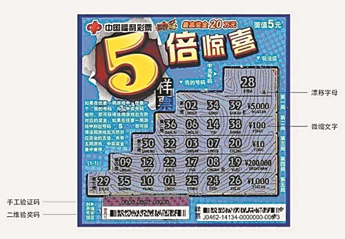 王中王彩圖平特一肖，深度解析與SEO優(yōu)化策略，王中王彩圖平特一肖，深度解析與SEO優(yōu)化策略指南