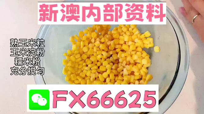 新澳一碼料，深度解析與SEO優(yōu)化策略，新澳一碼料深度解析與SEO優(yōu)化策略指南