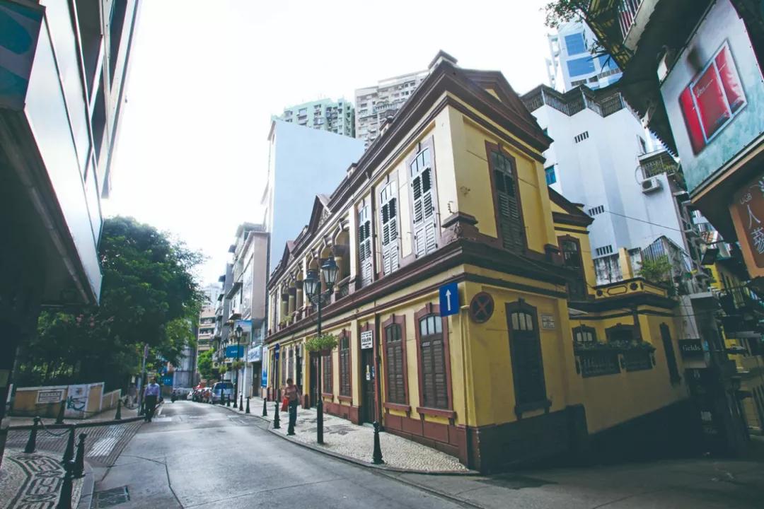 澳門三期必開一肖，揭秘生肖彩票背后的秘密，揭秘澳門生肖彩票三期必開一肖的秘密