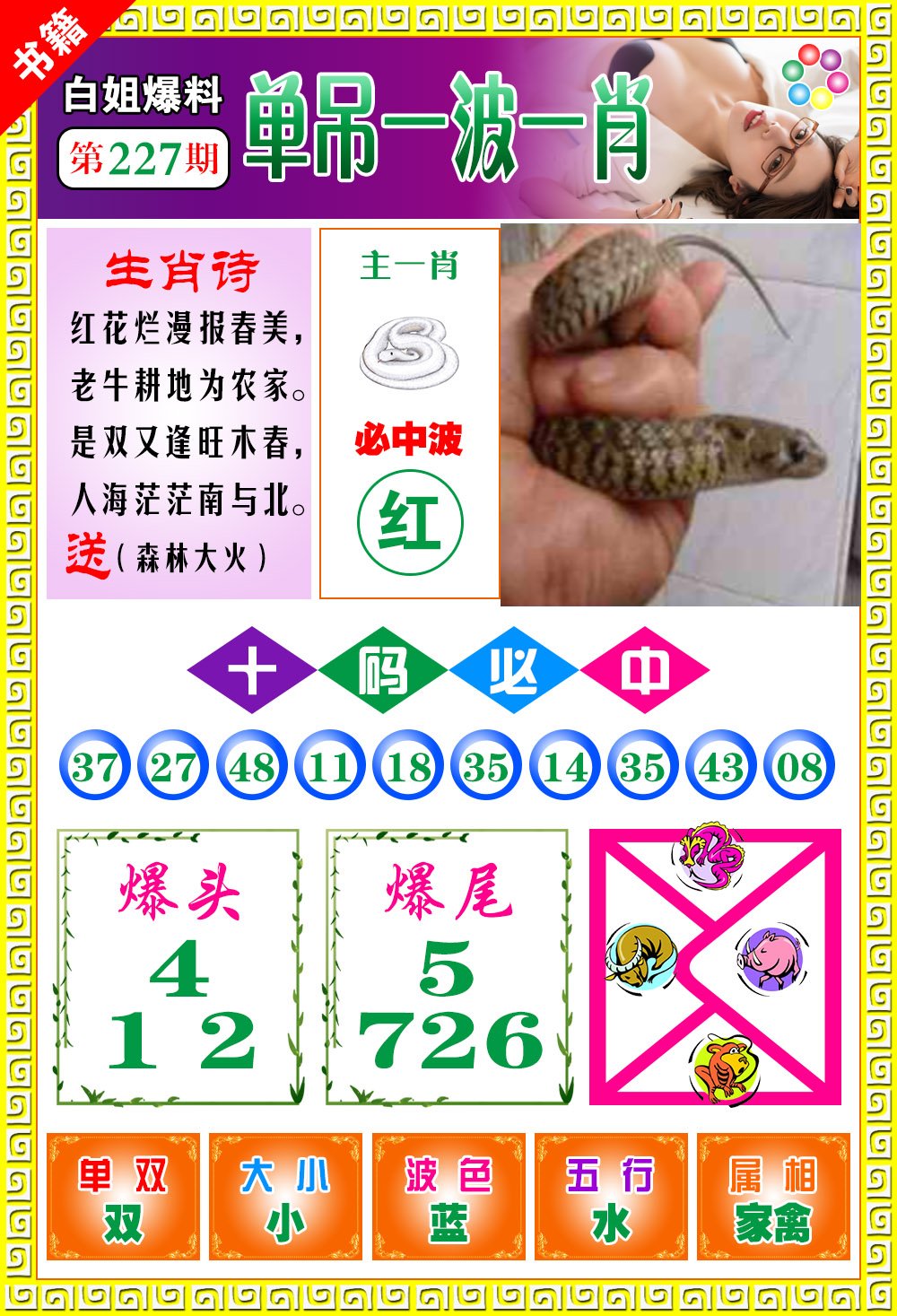 王中王開獎(jiǎng)最準(zhǔn)一肖——揭秘彩票背后的秘密，揭秘彩票最準(zhǔn)預(yù)測(cè)，王中王開獎(jiǎng)一肖的秘密