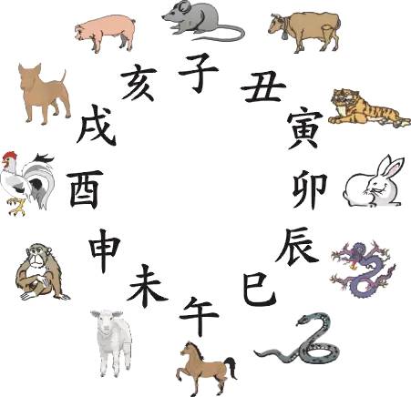 王中王指一生肖282期，深度解析與預(yù)測(cè)，王中王指一生肖282期深度解析與預(yù)測(cè)報(bào)告