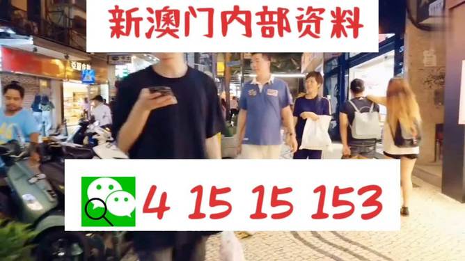 新澳門精準(zhǔn)24個(gè)碼，探索與解析，新澳門精準(zhǔn)24個(gè)碼深度解析與探索