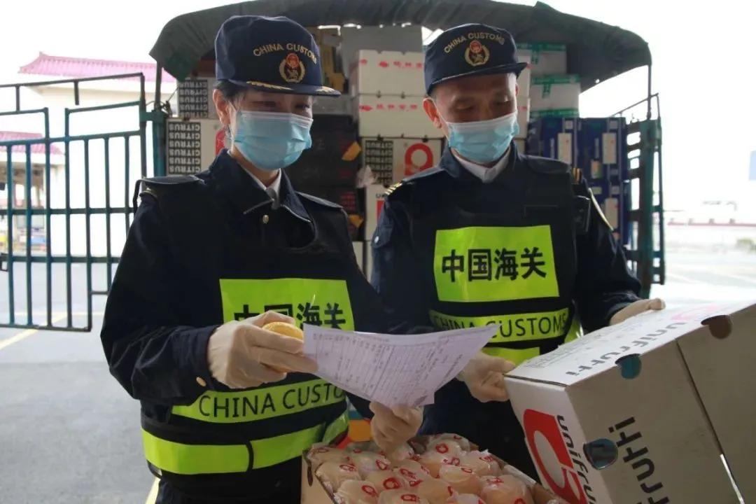 澳門彩票開獎結(jié)果快速揭曉，探索最新開獎動態(tài)與策略分析，澳門彩票最新開獎結(jié)果及策略分析