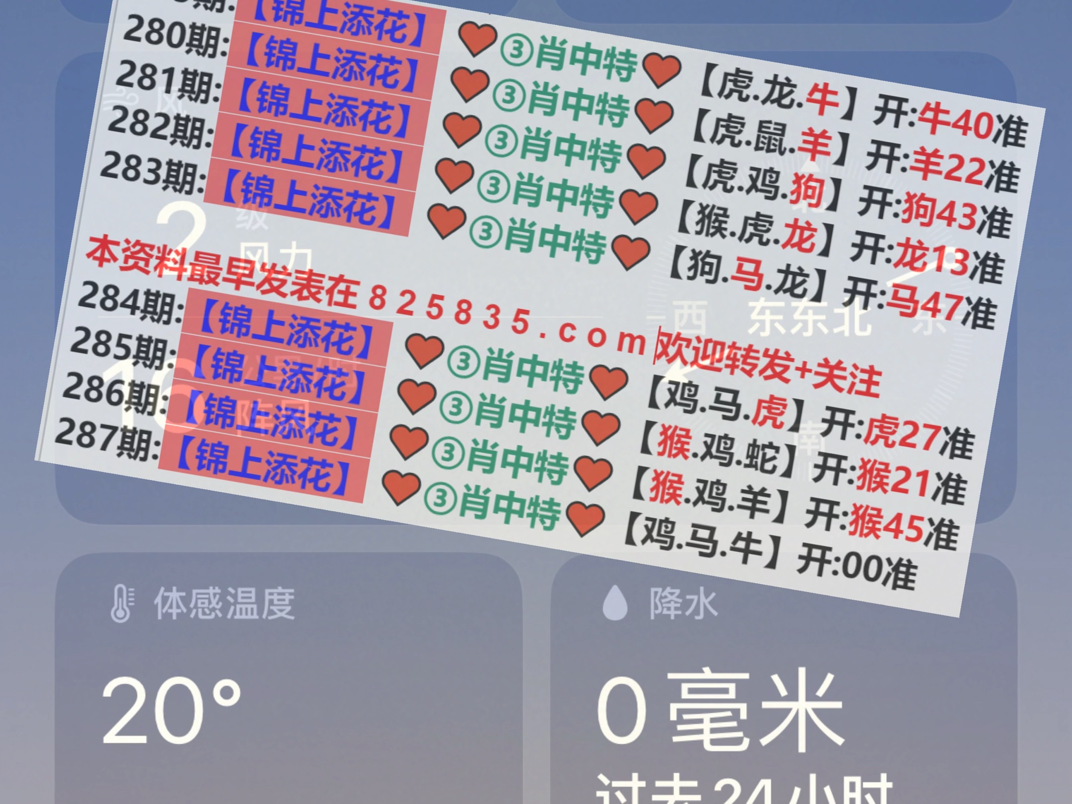 新澳2025年精準一肖一碼，揭秘預測背后的秘密，揭秘新澳2025年精準一肖一碼預測背后的秘密