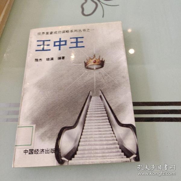 王中王資料與肖中特，深度解析，王中王資料與肖中特深度剖析