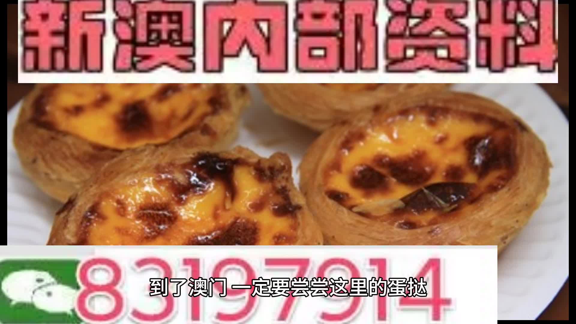 新澳門資料大全正版資料與奧利奧，探索與體驗(yàn)，澳門正版資料與奧利奧，探索與體驗(yàn)之旅