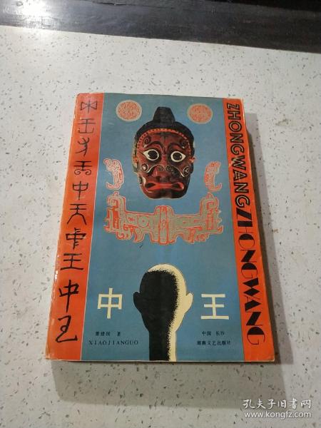 王中王資料一門肖中，深度解析與探索，王中王資料一門肖詳解，深度解析與探索