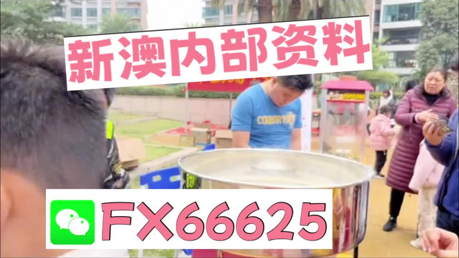 澳門正版免費(fèi)全年資料大全旅游團(tuán)，探索澳門之美的絕佳選擇，澳門正版全年資料大全旅游團(tuán)，探索澳門之美的最佳指南