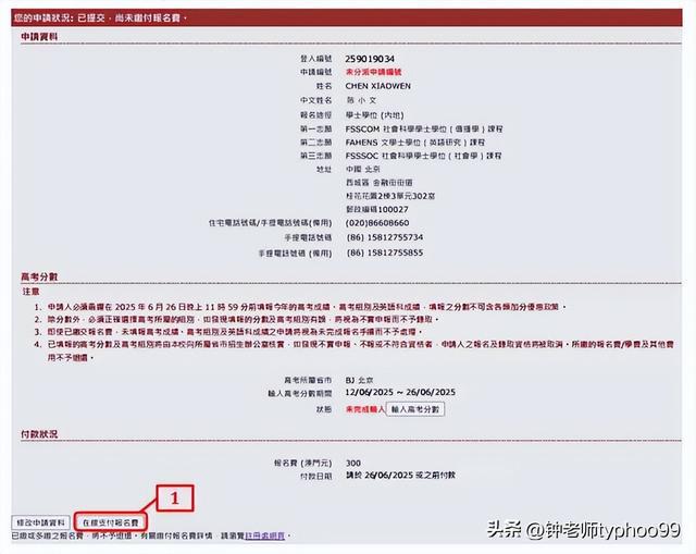 澳門資料大全正版資料查詢2025年，全面解析與深度探索，澳門資料大全正版資料解析與深度探索，展望2025年