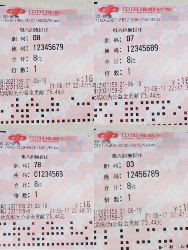 王中王精選發(fā)財一肖——揭秘生肖運勢與財富之路，王中王精選發(fā)財一肖，揭秘生肖運勢，探尋財富之路