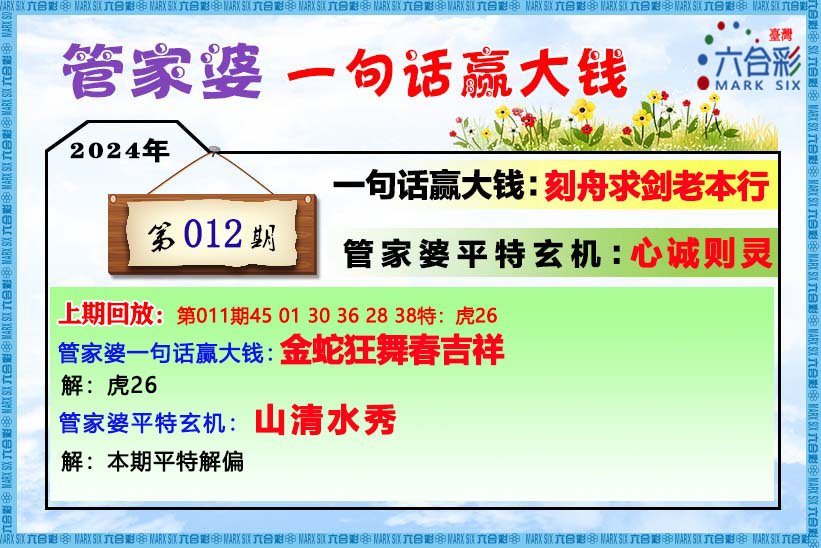 菅家婆王中王一肖中特，深度解析與SEO優(yōu)化策略，菅家婆王中王一肖中特，深度解析與SEO優(yōu)化策略指南